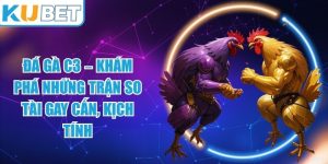 Đá Gà C3