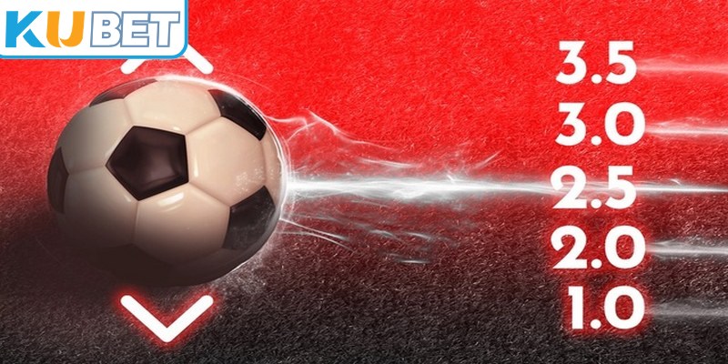 Giải thích thông tin cơ bản về kèo tài xỉu